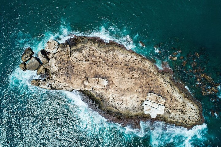 Seal Island Tour in Mossel Bay - Photo 1 of 11